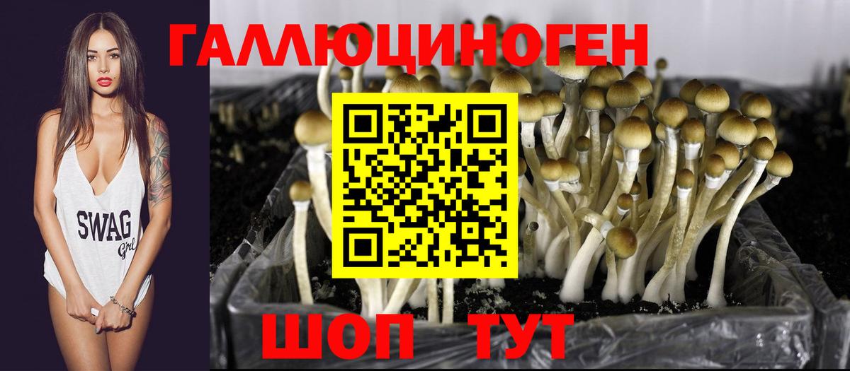 Кисловодск  Галлюциногенные грибы MAGIC MUSHROOMS  Псилоцибиновые грибы Cubensis  Вход с VPN 