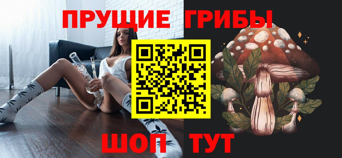 Псилоцибиновые грибы прущие грибы Кисловодск